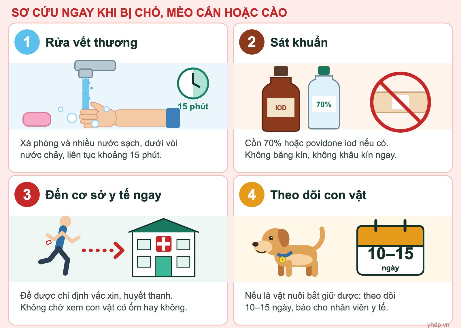 Four first-aid steps after a dog or cat bite or scratch (illustration in Vietnamese)