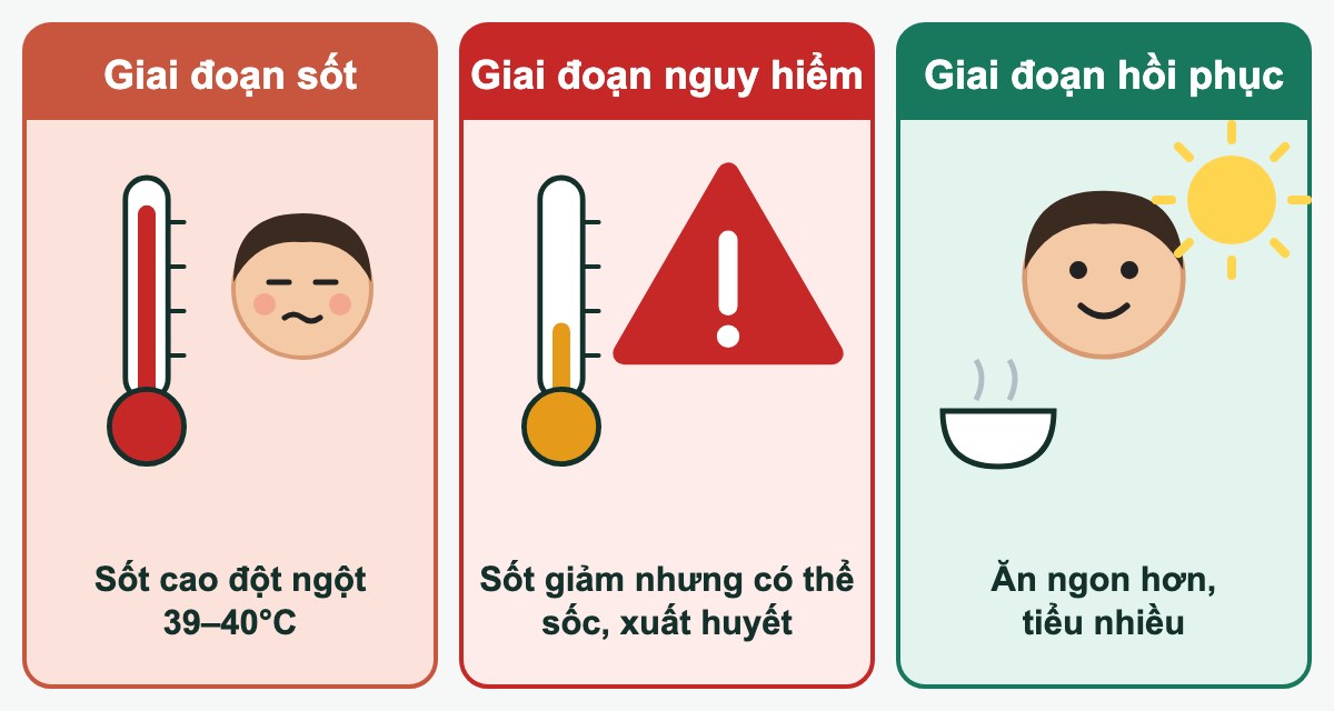 Three phases of dengue (illustration in Vietnamese)