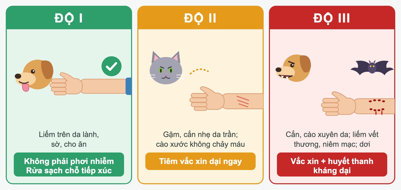 Three exposure categories and what to do (illustration in Vietnamese)